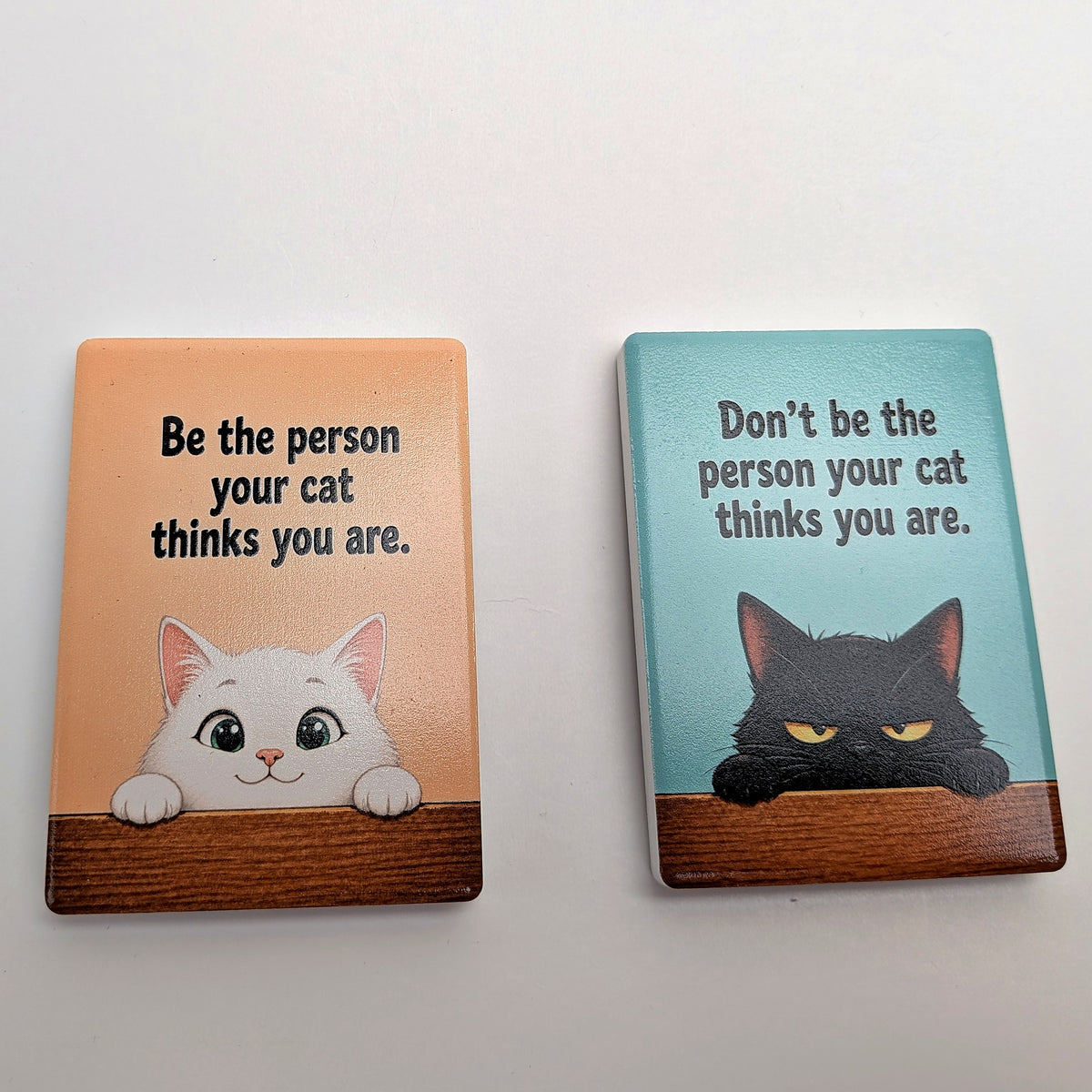 Cat Mood Ceramic Fridge Magnet - Be / Don't Be The Person Your Cat Thinks You Are