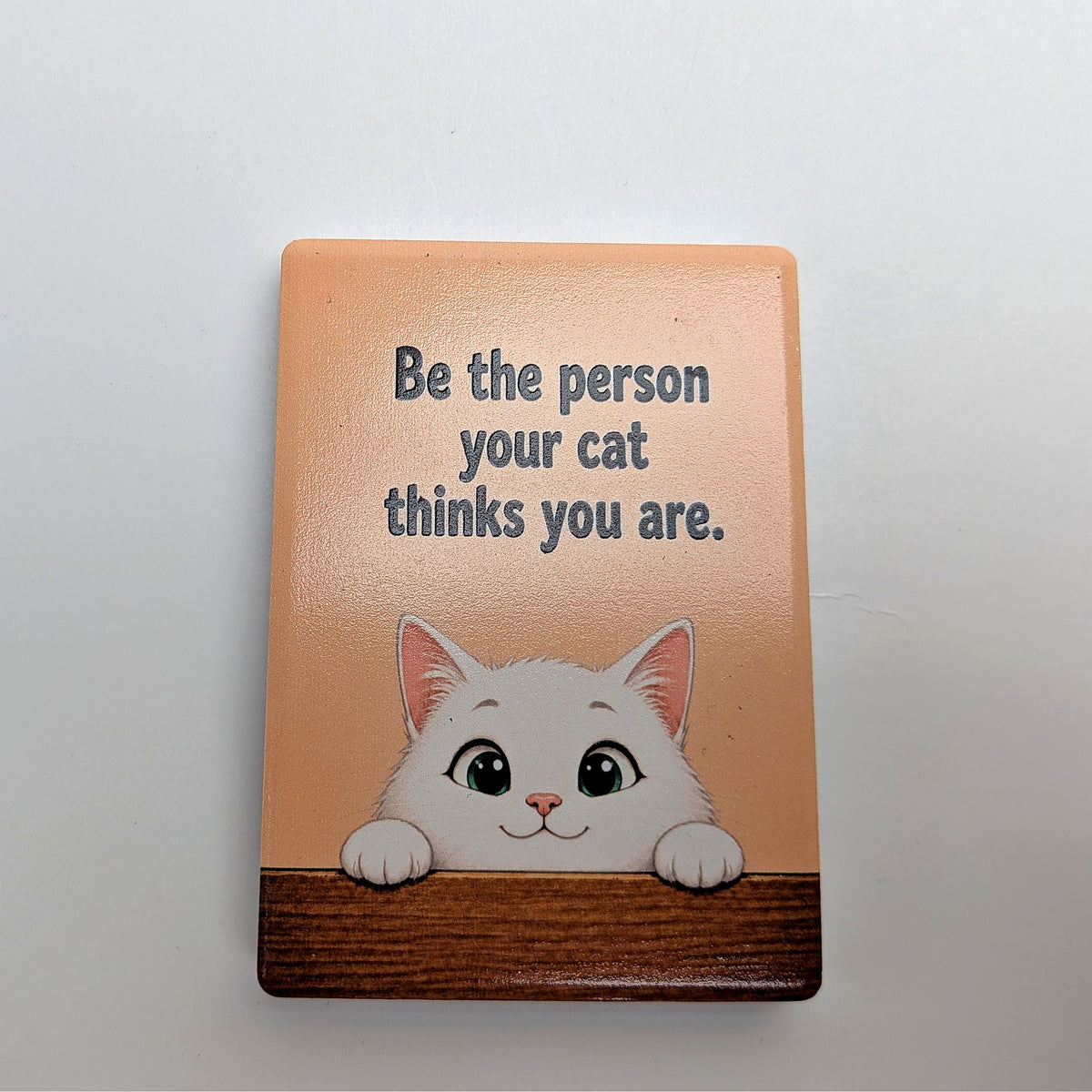 Cat Mood Ceramic Fridge Magnet - Be / Don't Be The Person Your Cat Thinks You Are