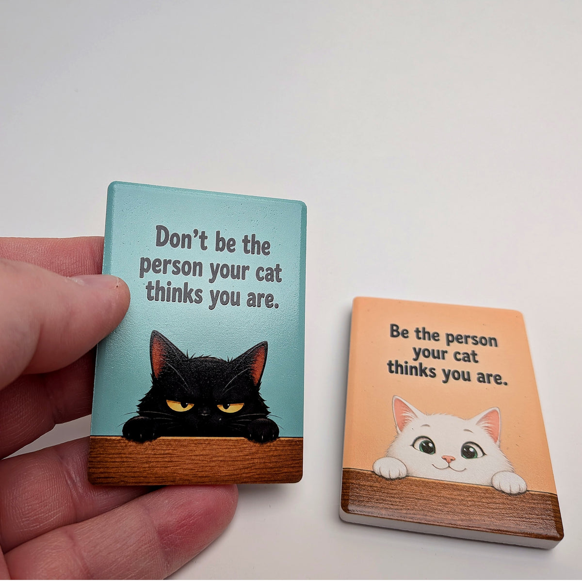Cat Mood Ceramic Fridge Magnet - Be / Don't Be The Person Your Cat Thinks You Are