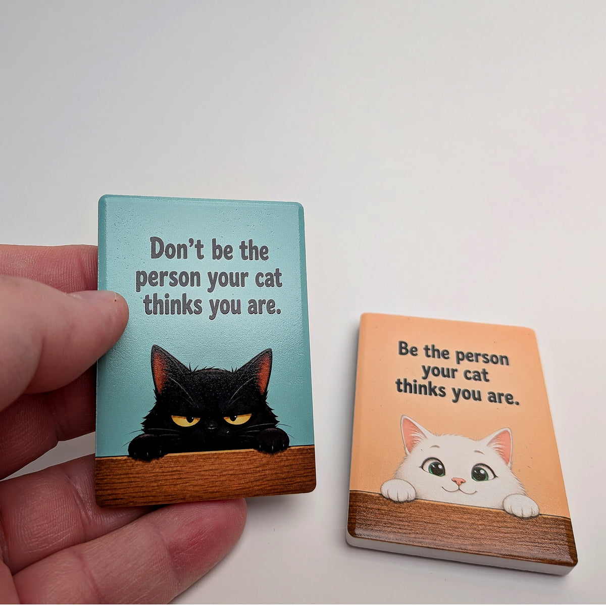 Cat Mood Ceramic Fridge Magnet - Be / Don't Be The Person Your Cat Thinks You Are