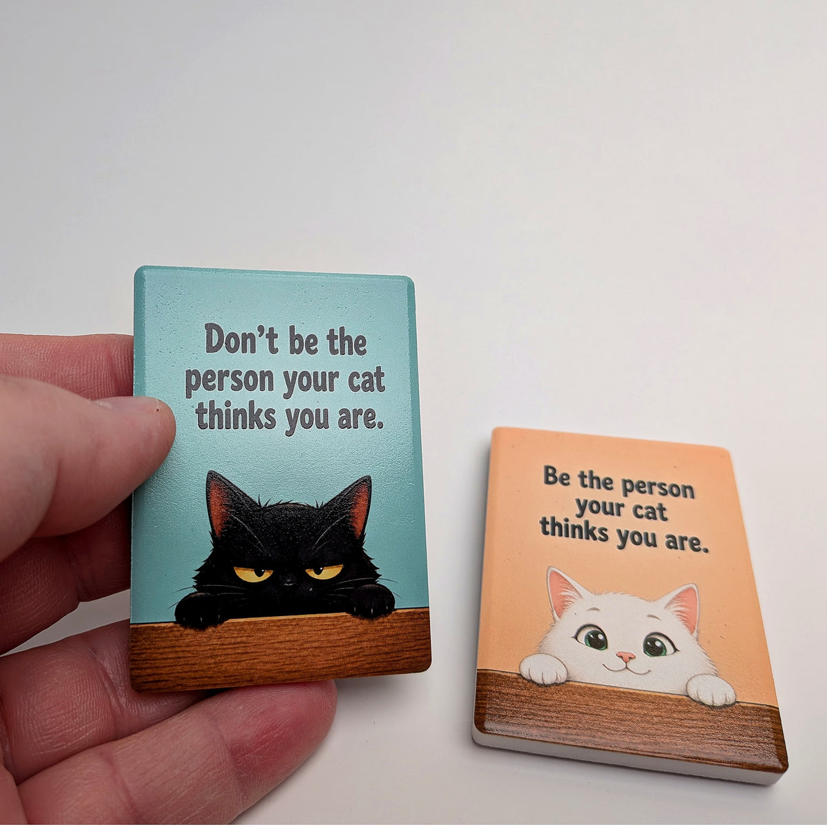 Cat Mood Ceramic Fridge Magnet - Be / Don't Be The Person Your Cat Thinks You Are