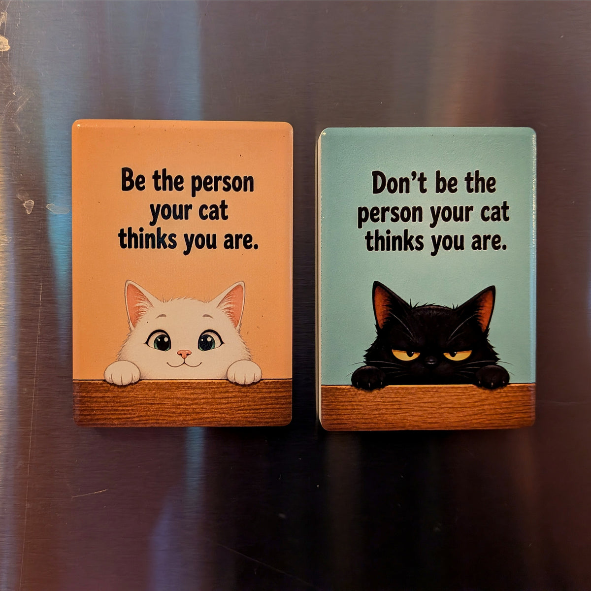 Cat Mood Ceramic Fridge Magnet - Be / Don't Be The Person Your Cat Thinks You Are