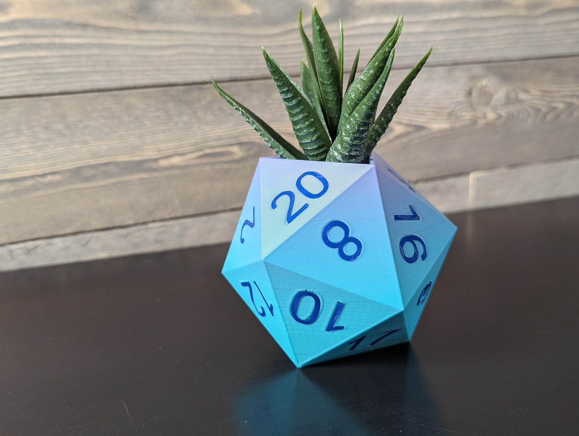 Unique 20-Sided Dice Planter for Succulents, RPG Gamer Gift, Home Decor